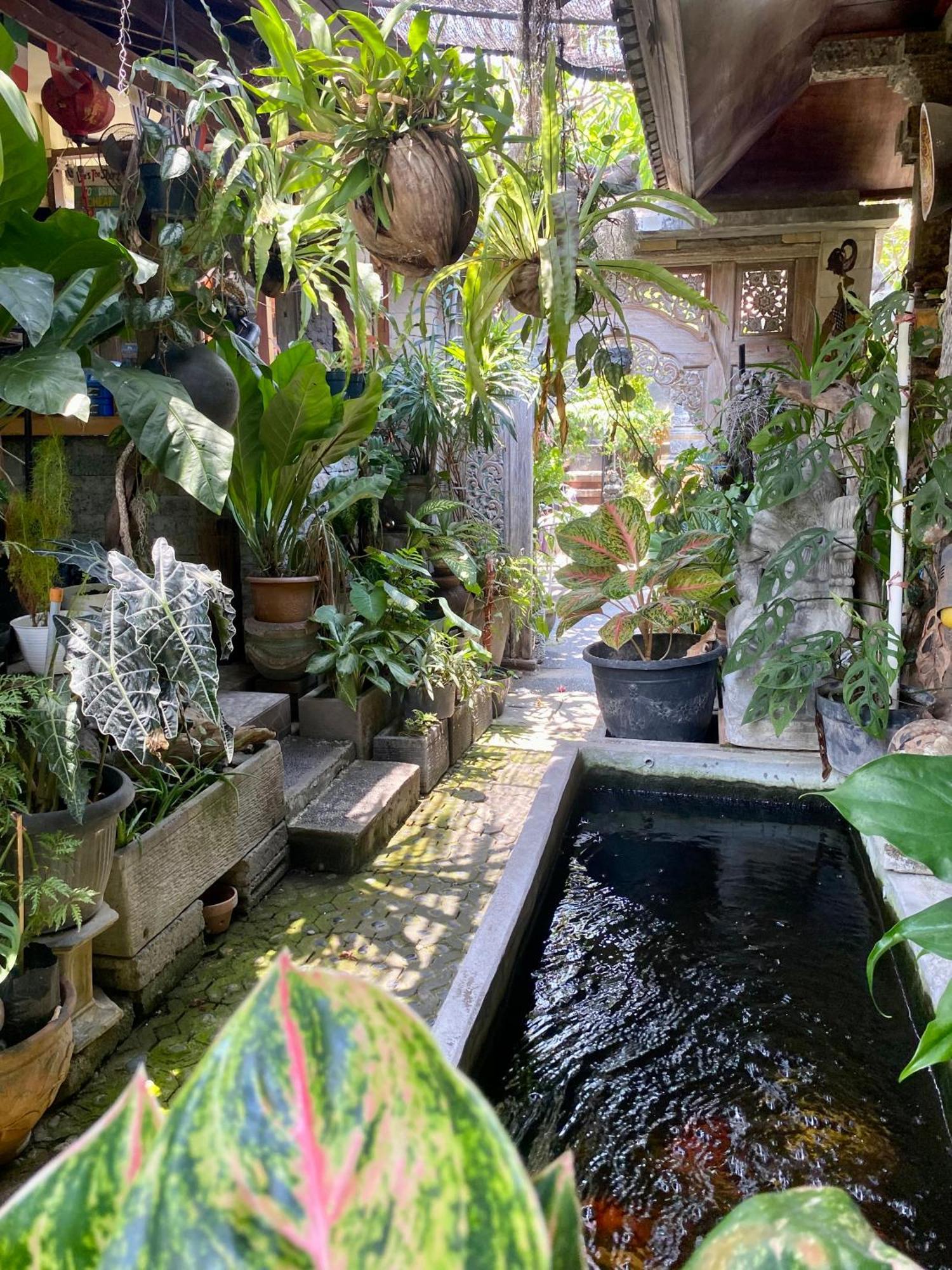 Frog Homestay Sanur Kültér fotó